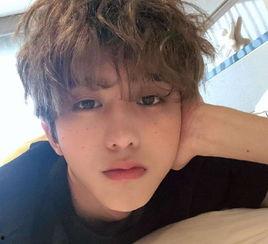 圈内人员爆料白鹿蔡徐坤,圈内爆料揭秘背后真相