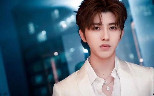 狗仔爆料王源网红视频大全,狗仔爆料揭秘明星私生活瞬间  第1张